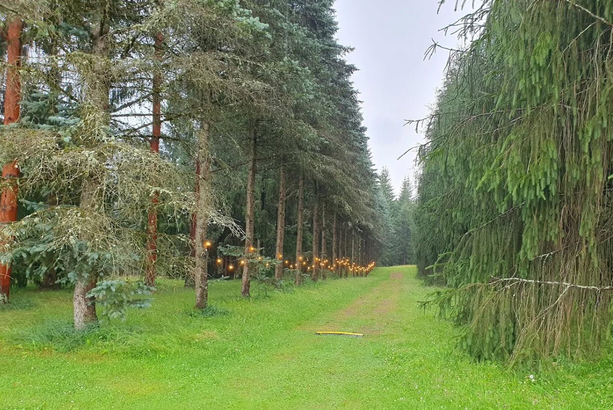 Kalsnavas Arborētums, Latvia